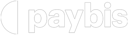 Paybis-logo-white 1
